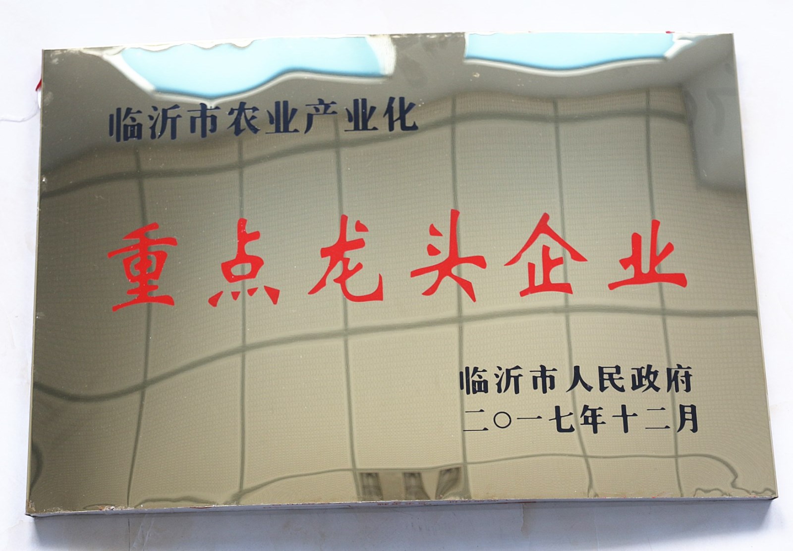 臨沂市重點龍頭企業(yè)
