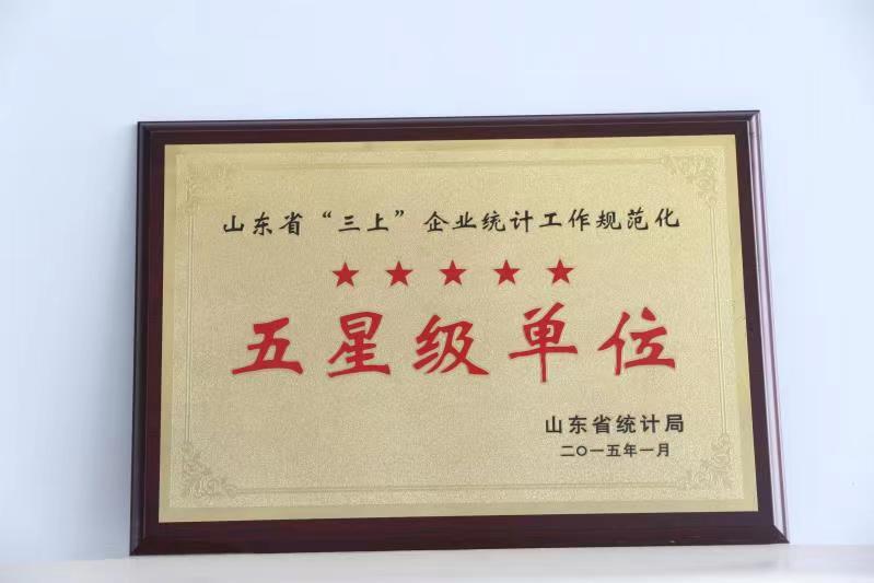 省統(tǒng)計工作規(guī)范化五星級單位