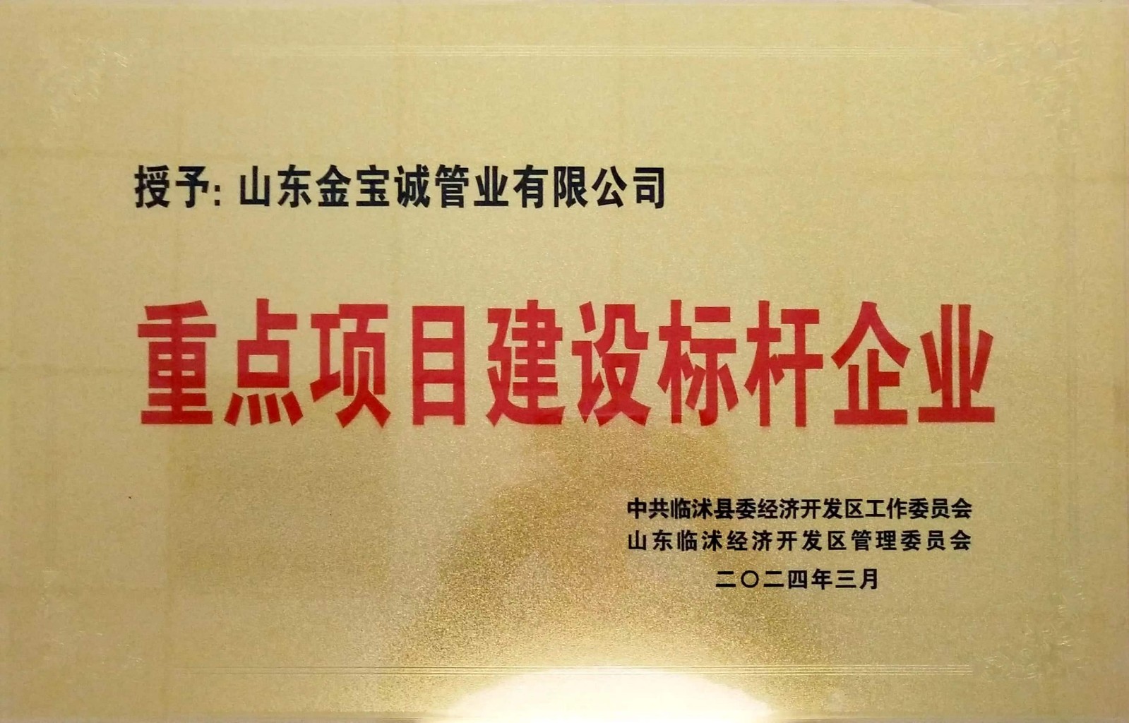 重點項目建設(shè)標(biāo)桿企業(yè)